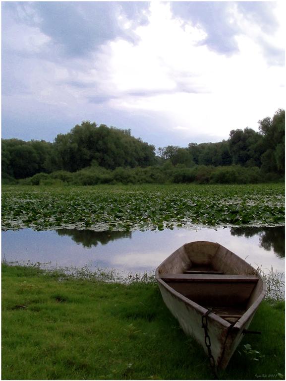 фото "Традиционный пейзаж с лодкой." метки: пейзаж, вода