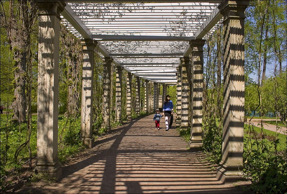 photo "striped shadows" tags: misc., landscape, summer