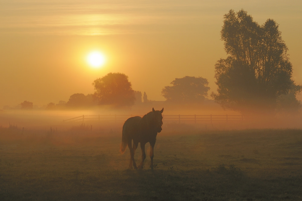 photo "***" tags: landscape, sunset