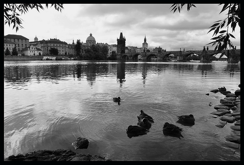 photo "У реки Влтавy" tags: black&white, 
