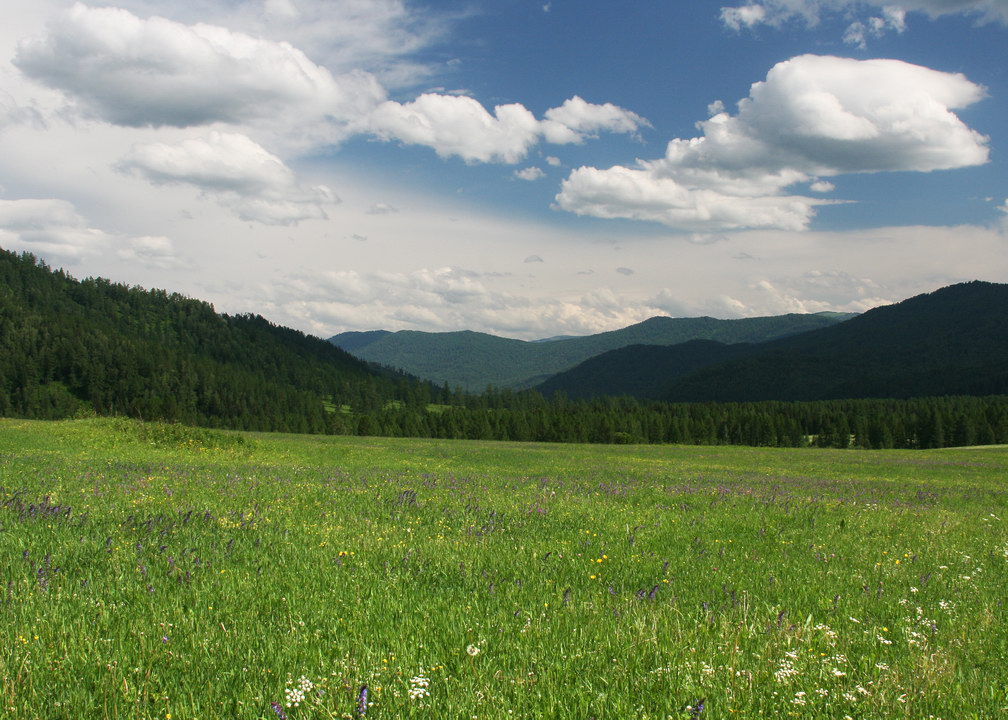 photo "***" tags: landscape, mountains, summer