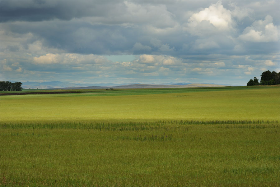 photo "***" tags: landscape, summer