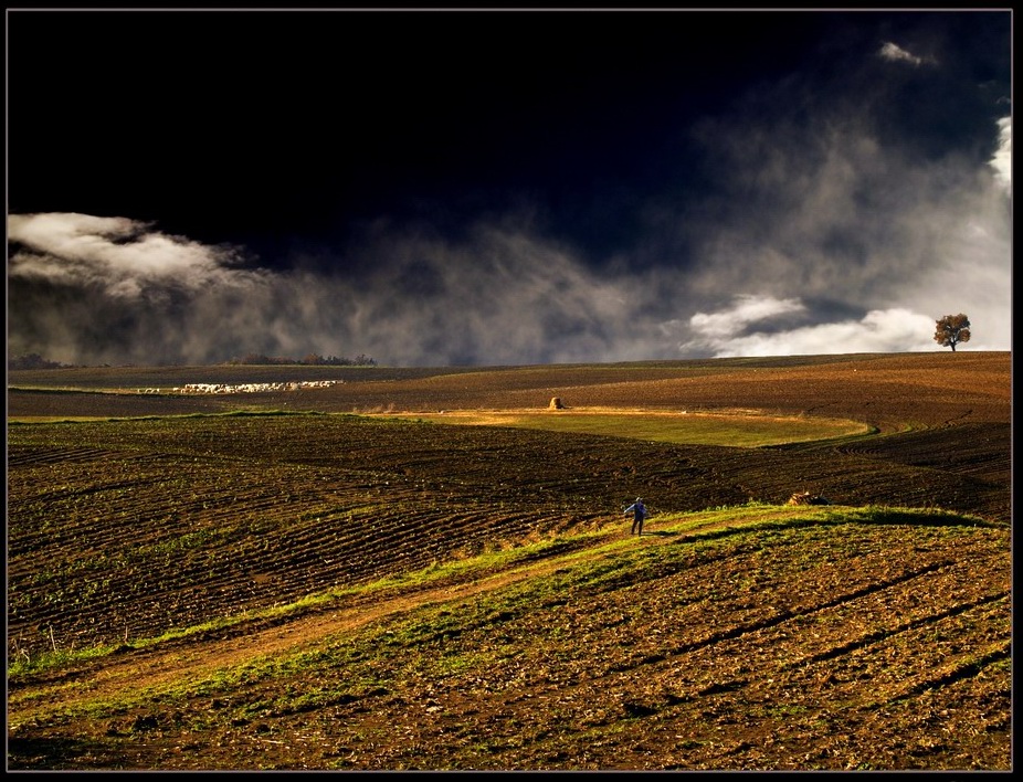 photo "watching the flock" tags: landscape, 