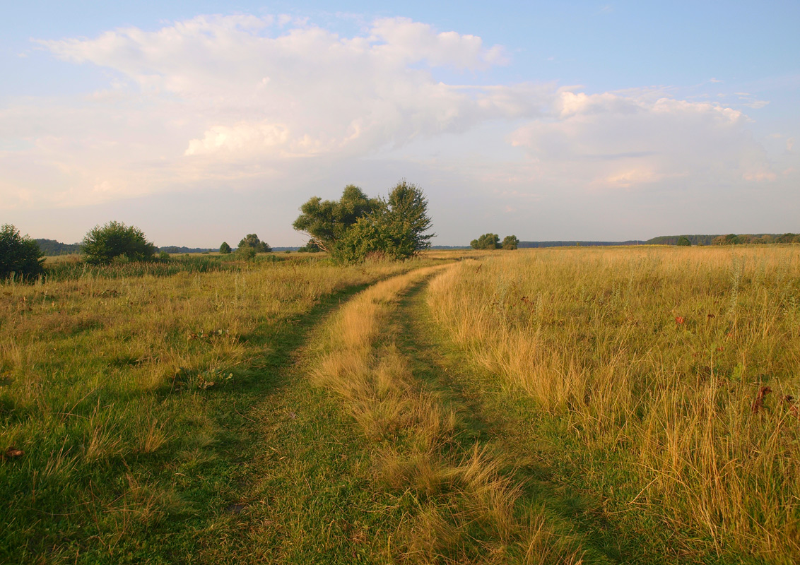 photo "***" tags: landscape, summer