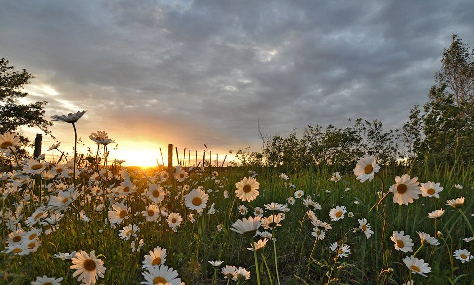 photo "***" tags: landscape, sunset