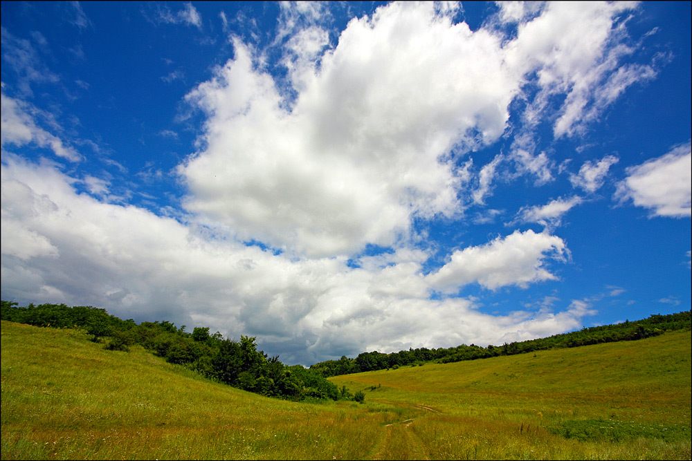 фото "Paradise clouds" метки: пейзаж, лес, лето, небо, облака