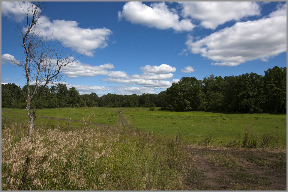 photo "***" tags: landscape, summer