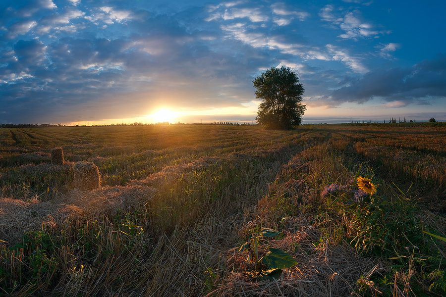 photo "***" tags: landscape, summer, sunset