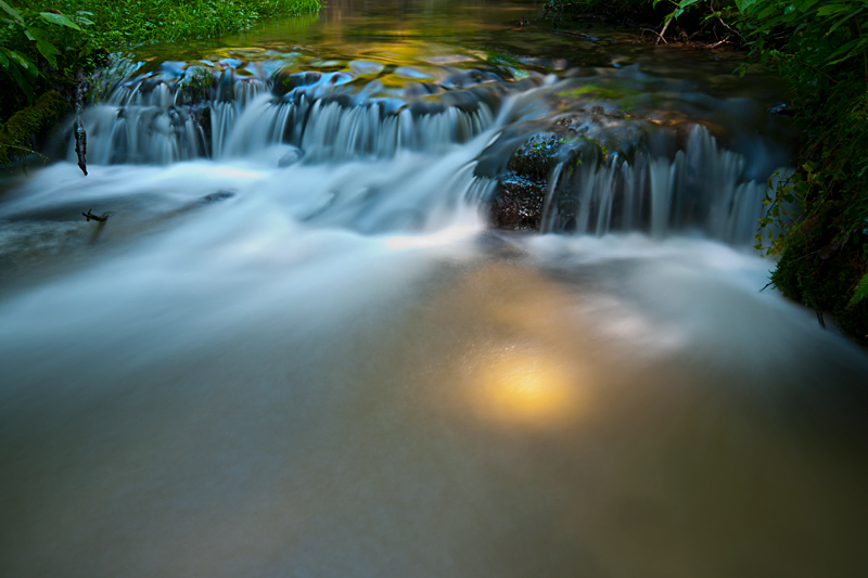 photo "***" tags: landscape, forest, water