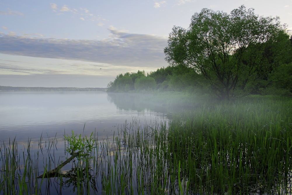 photo "***" tags: landscape, summer, water