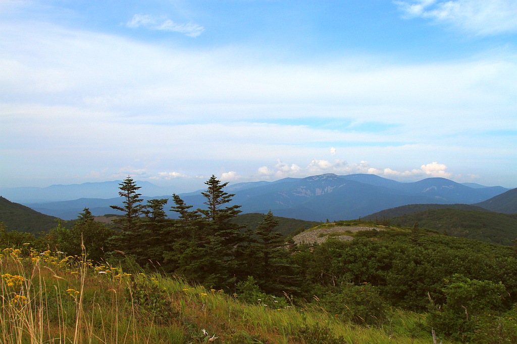 фото "Сопки Приморья" метки: пейзаж, горы