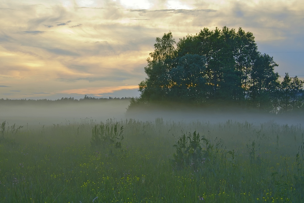 photo "***" tags: landscape, summer, sunset