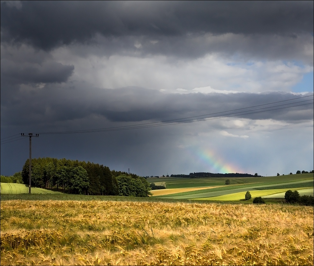 photo "***" tags: landscape, summer