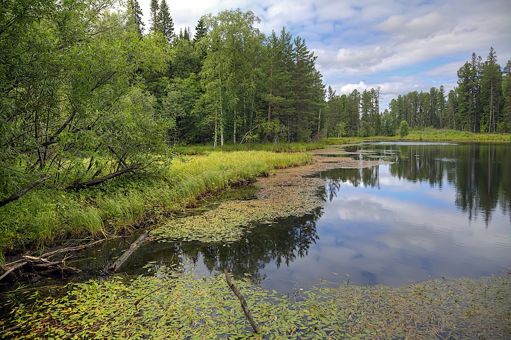 photo "***" tags: landscape, summer