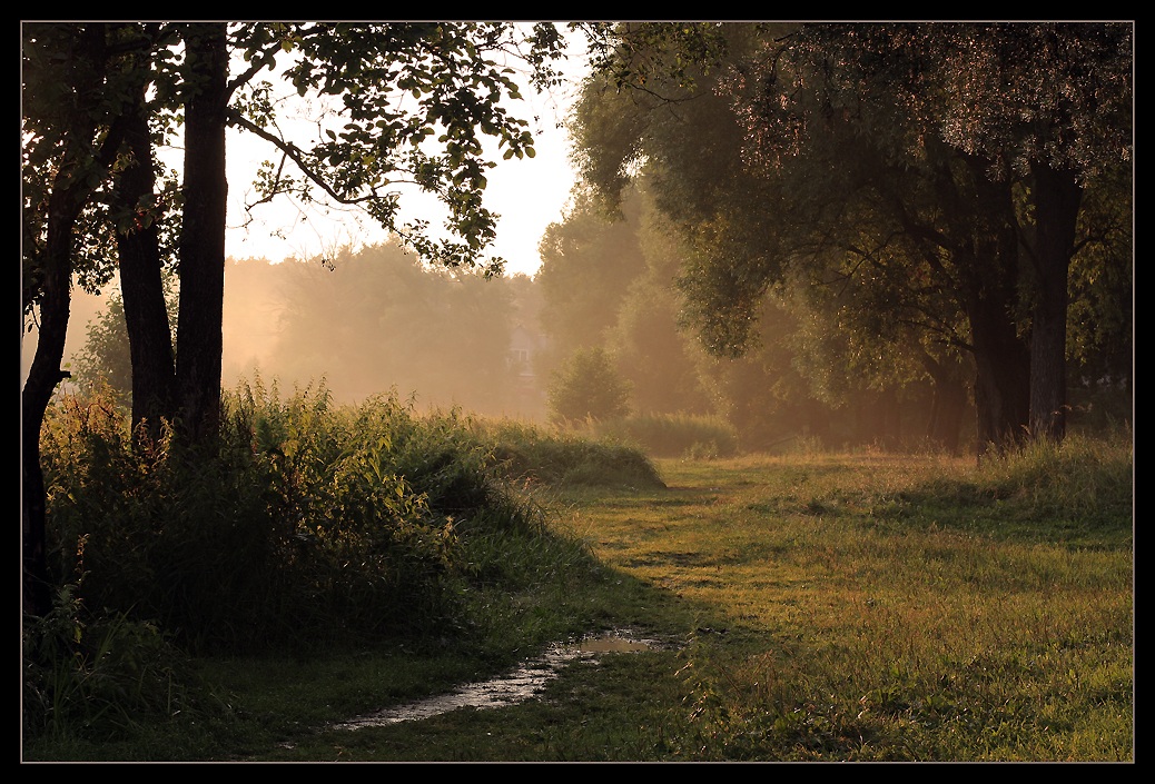 photo "***" tags: landscape, summer, sunset