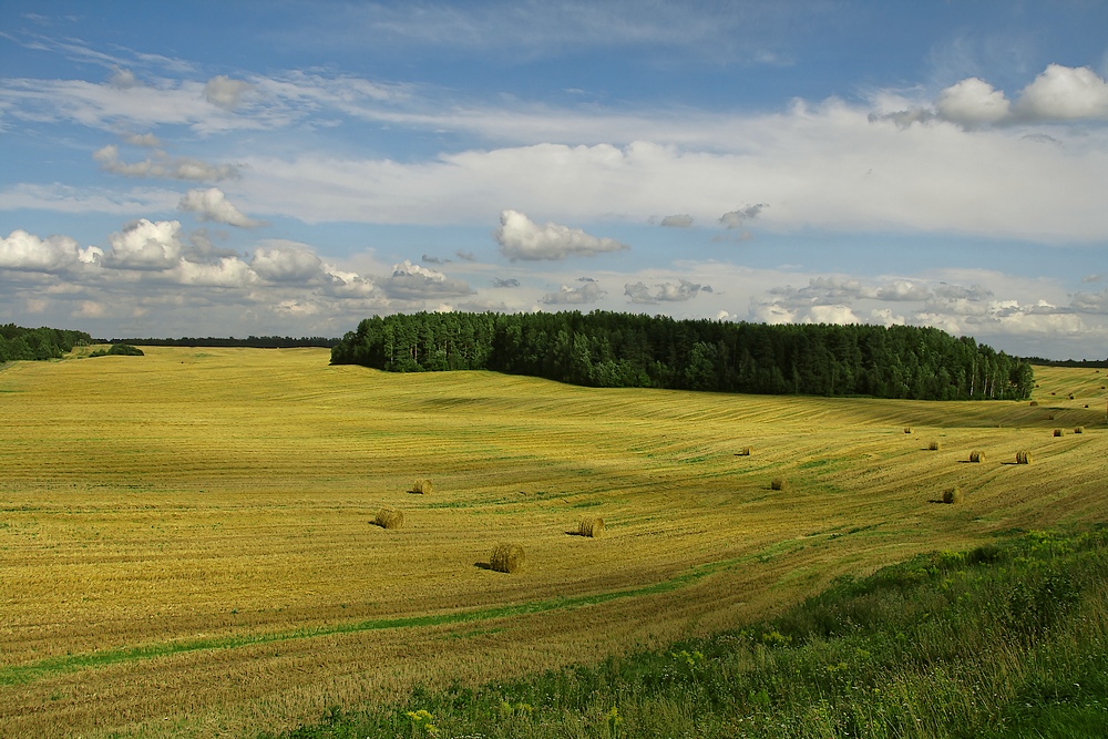 photo "***" tags: landscape, summer