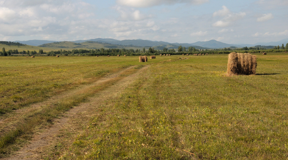 photo "***" tags: landscape, summer