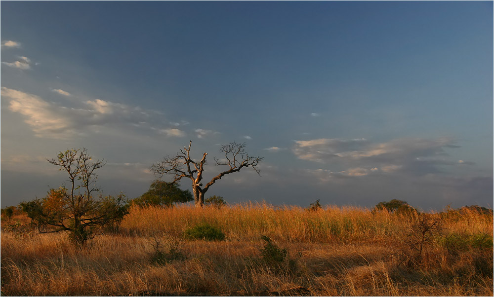 photo "At sunset" tags: landscape, travel, sunset