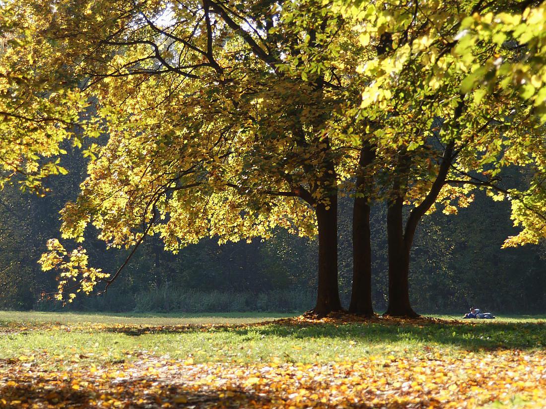 photo "***" tags: landscape, autumn