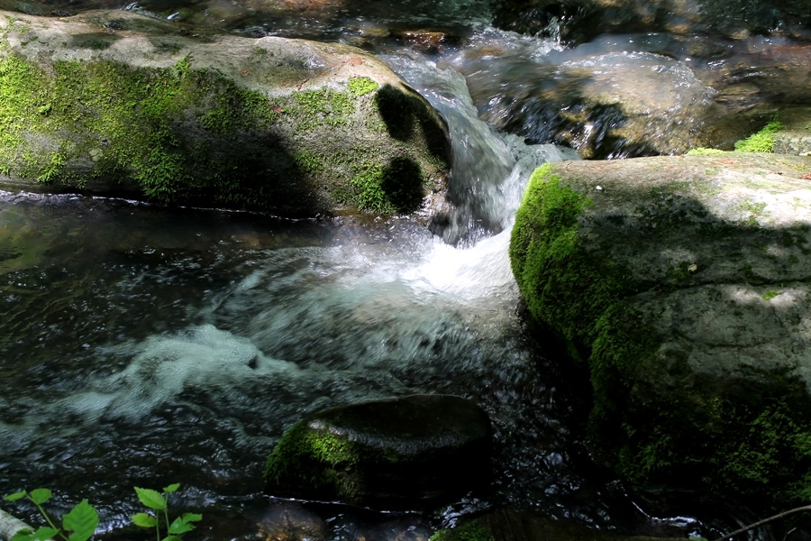 photo "I looked deep in thought ..." tags: landscape, water