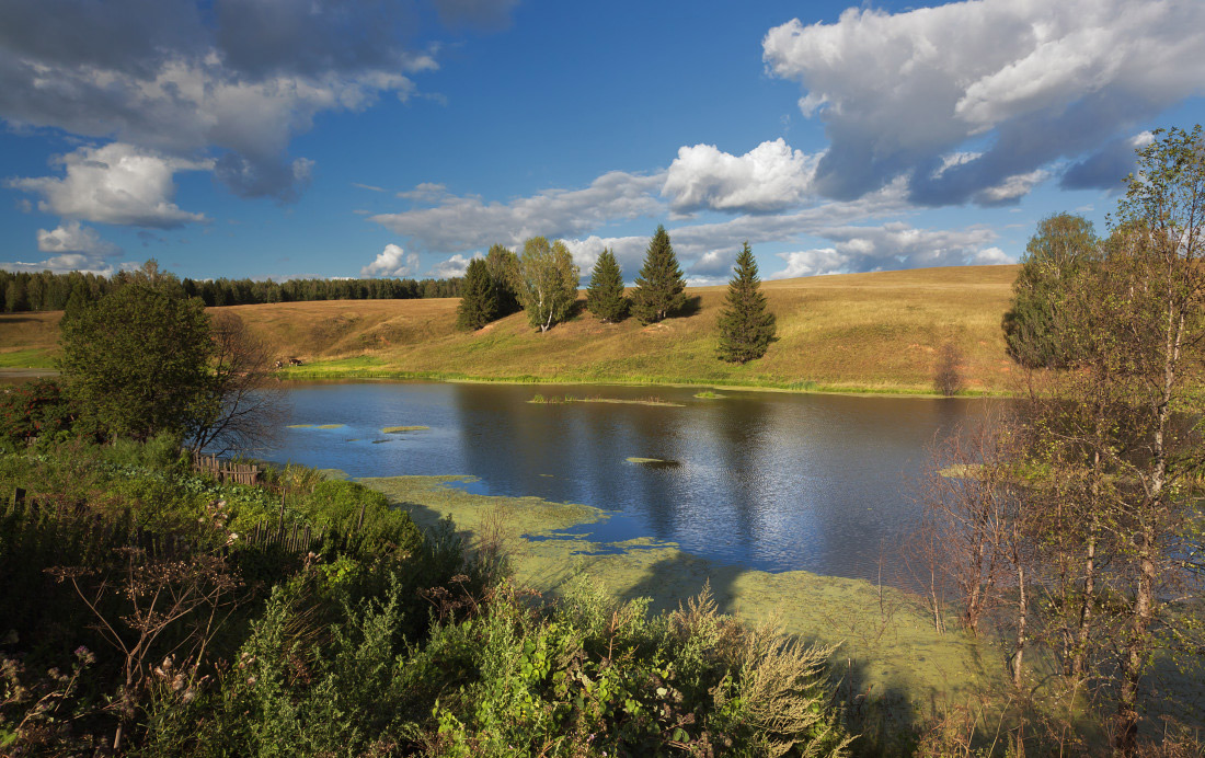 photo "***" tags: landscape, summer