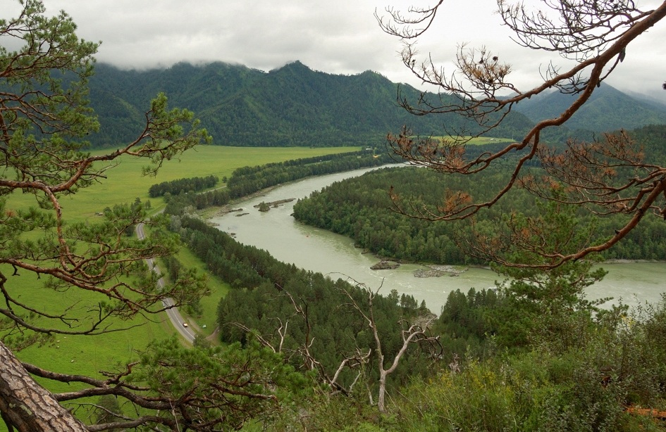 photo "View from an overview of Mount" tags: landscape, forest, mountains