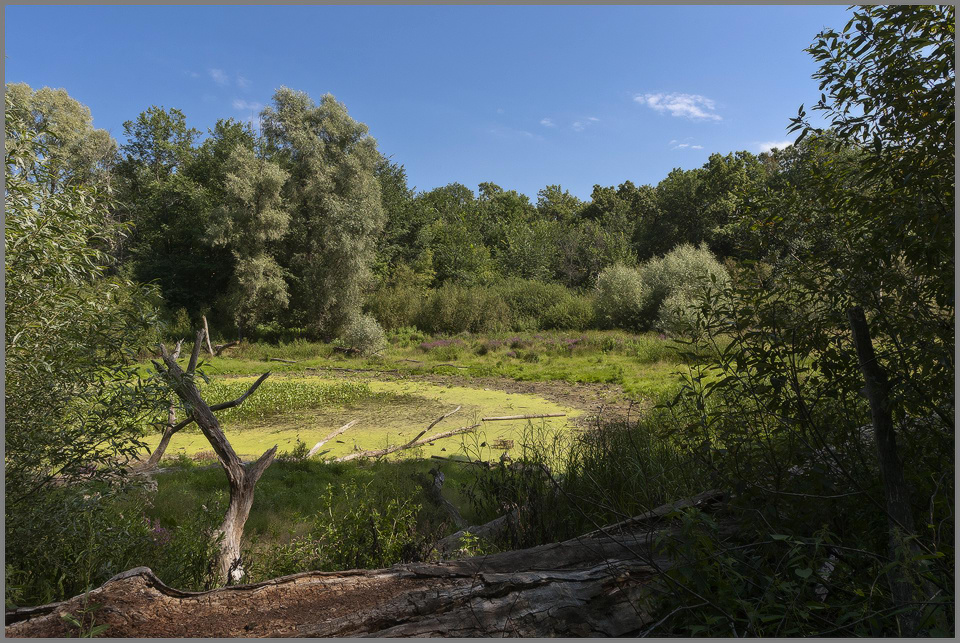 photo "***" tags: landscape, summer