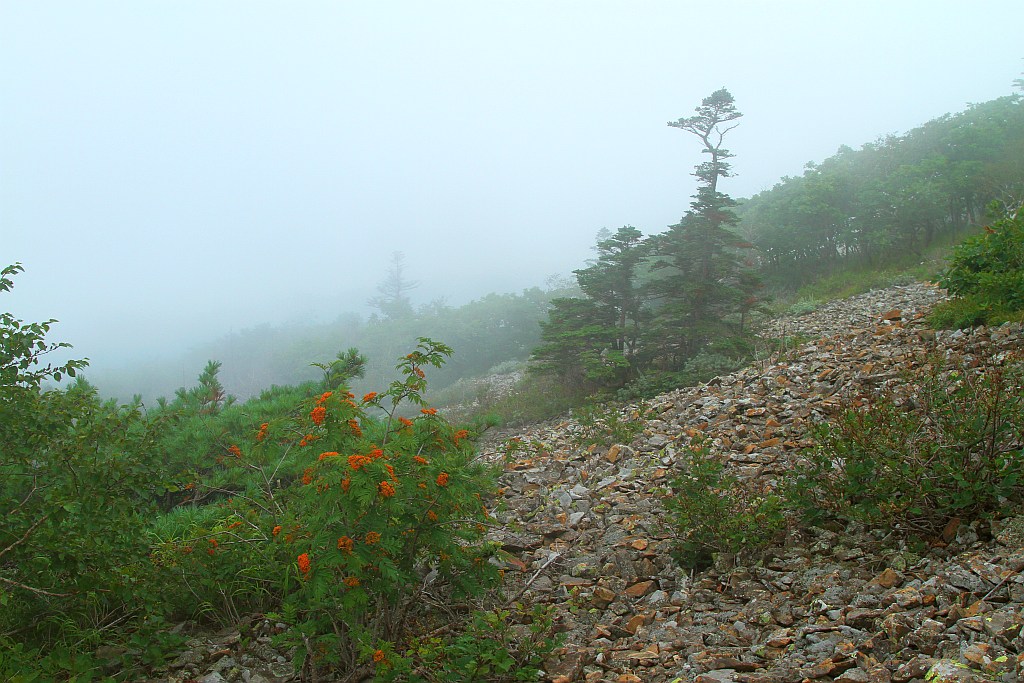 photo "***" tags: landscape, mountains