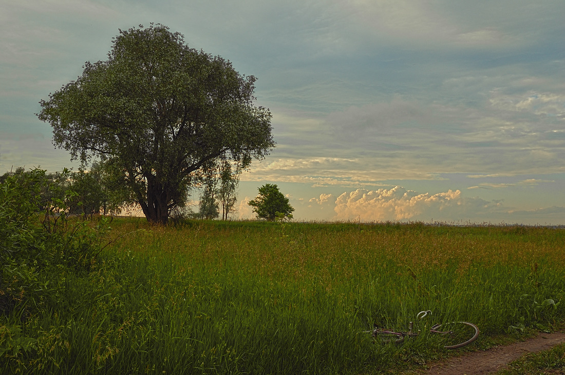 photo "***" tags: landscape, summer, sunset