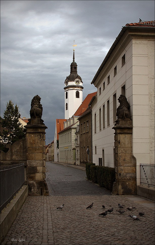 photo "Stadt-renessans Torgau" tags: city, architecture, landscape, 