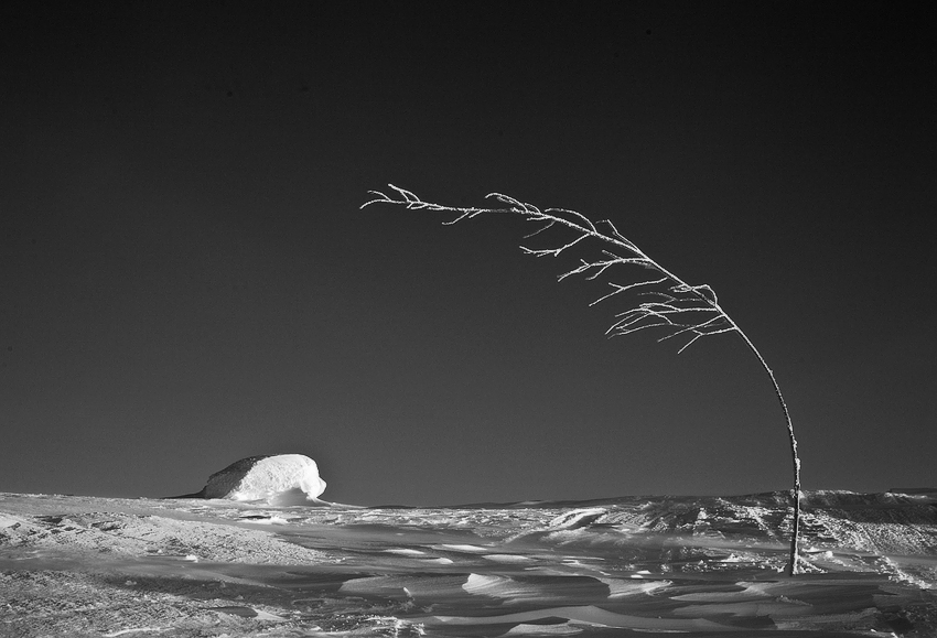 photo "***" tags: landscape, winter