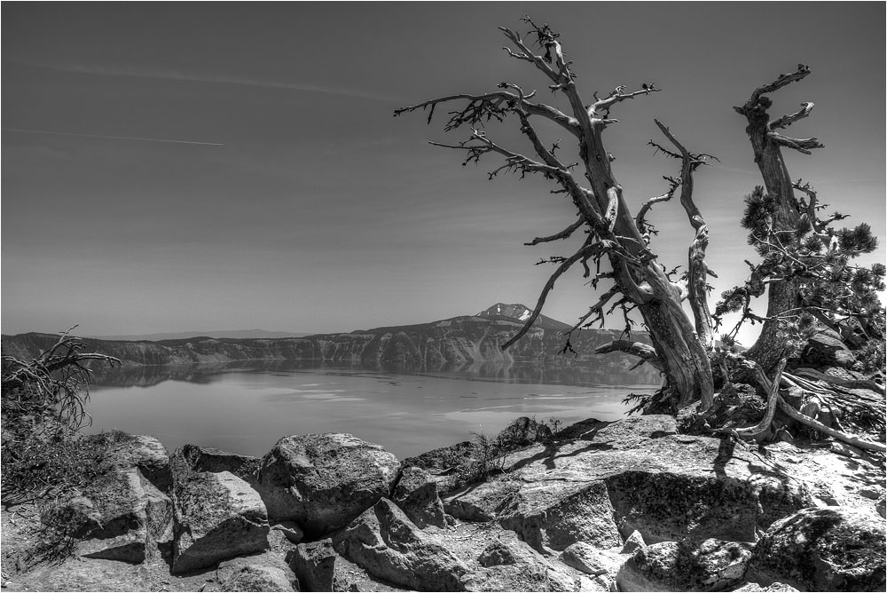 photo "Monsters attack" tags: landscape, black&white, water