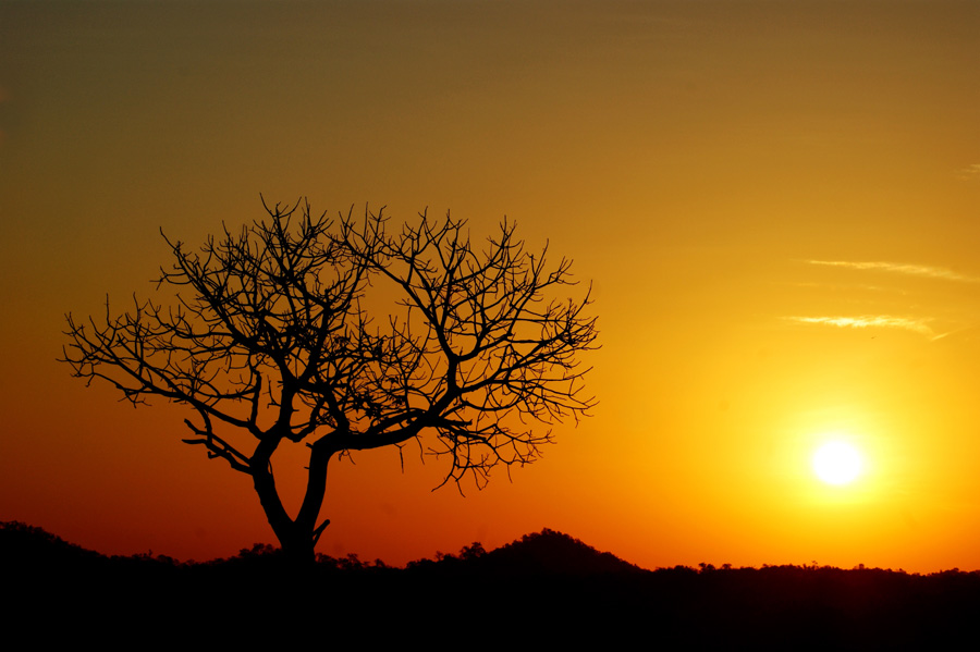 photo "Desert sunset" tags: landscape, travel, Australia, sunset