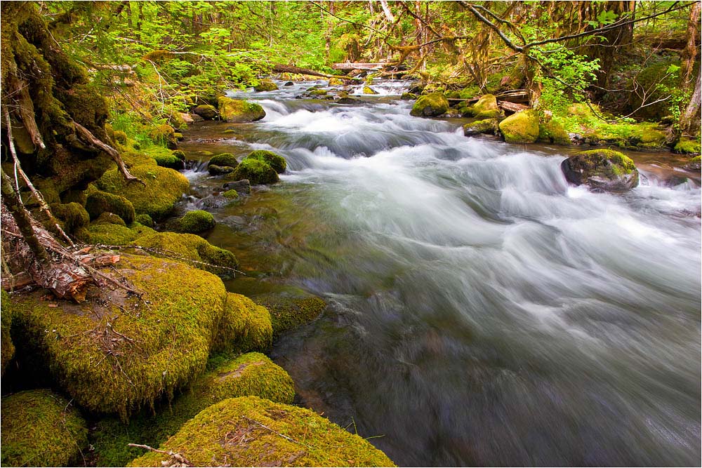 photo "Rapids" tags: , 