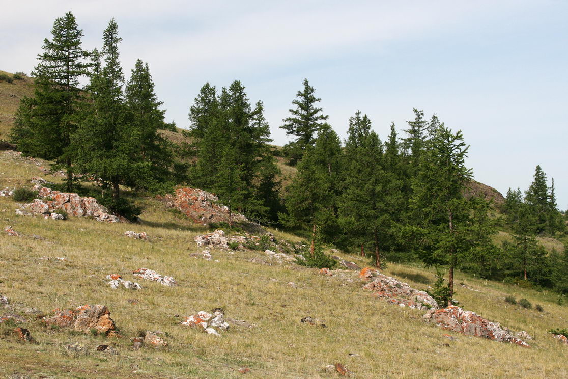 photo "***" tags: landscape, mountains, summer