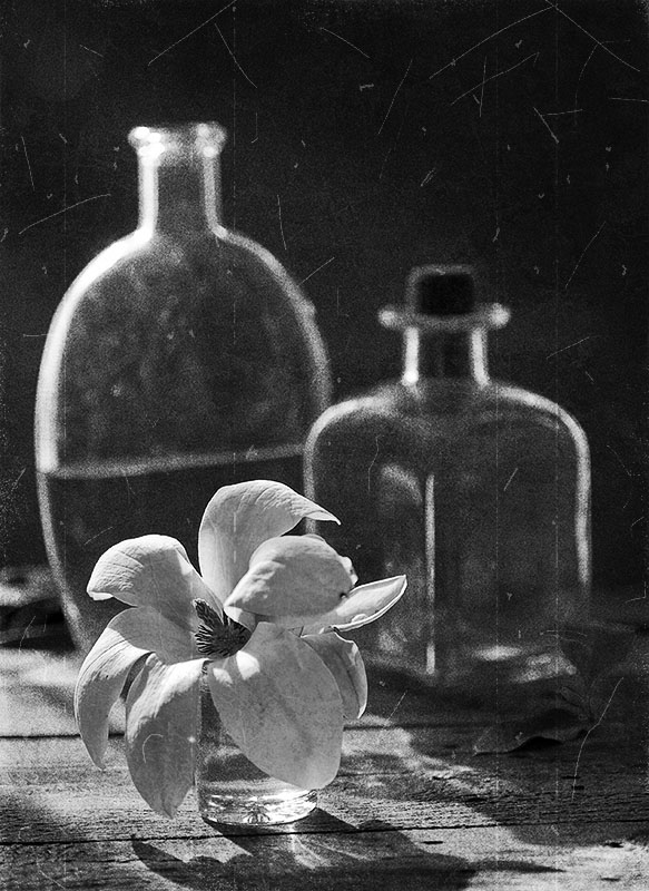 photo "***" tags: still life, 
