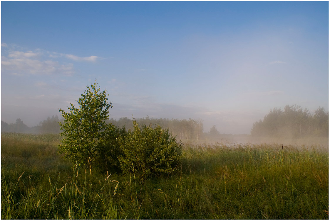 photo "A bit of fog" tags: landscape, summer