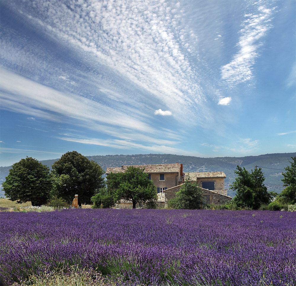 photo "***" tags: landscape, clouds, summer