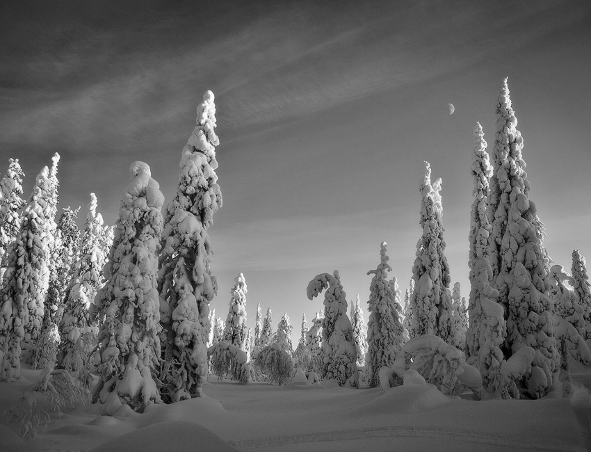 photo "***" tags: landscape, winter