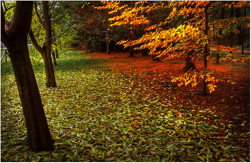 фото "***" метки: пейзаж, 