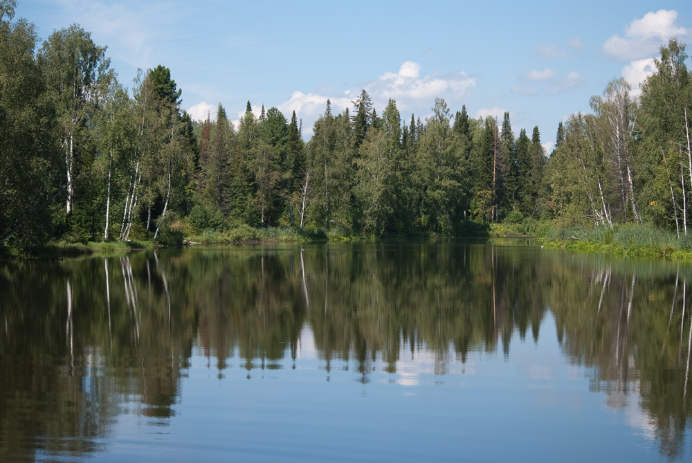 photo "***" tags: landscape, forest, water