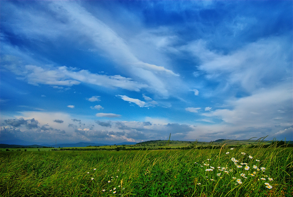 photo "Summer mood" tags: landscape, clouds, summer