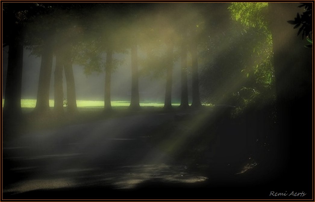 photo "one summer morning" tags: landscape, summer, sunset