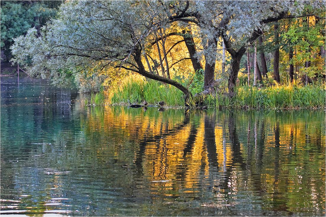 photo "***" tags: landscape, reflections, summer, sun, water