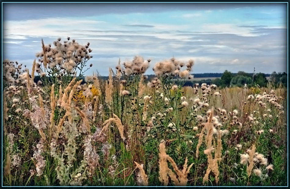 photo "***" tags: landscape, summer