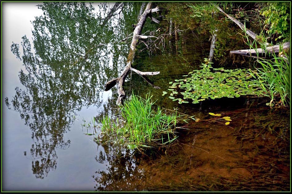 photo "***" tags: landscape, summer, water