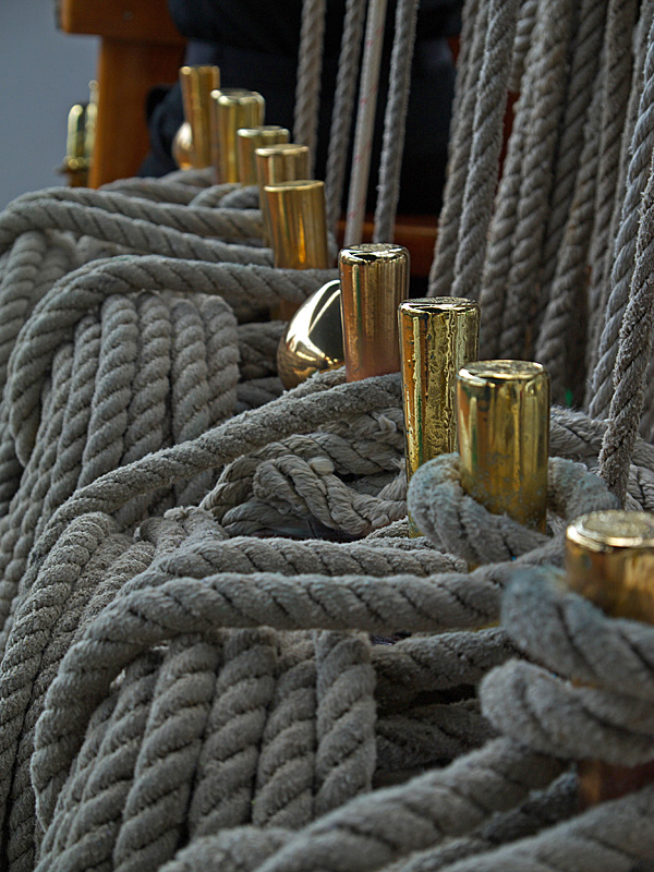 photo "Rope & Brass" tags: macro and close-up, reporting, 