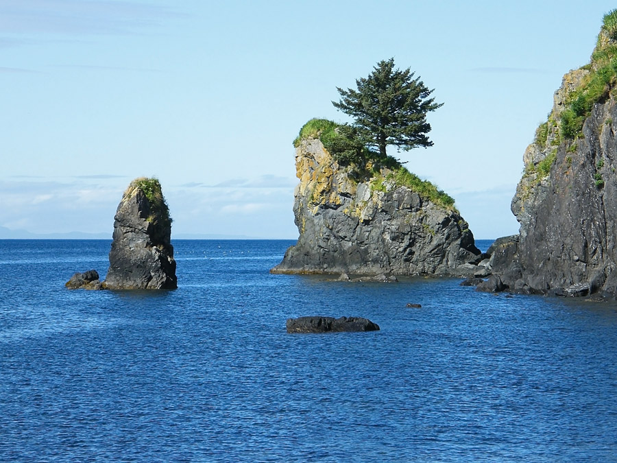 photo "Одинокое дерево" tags: landscape, travel, North America, water