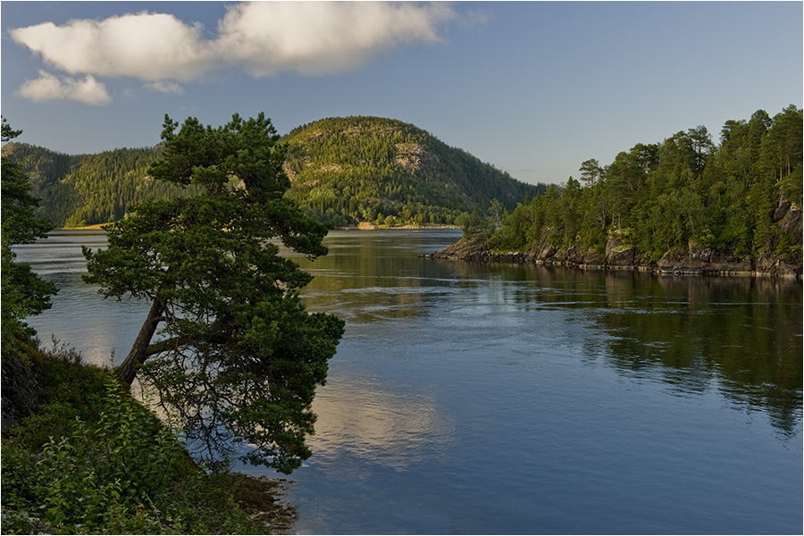 photo "Silence" tags: landscape, summer, water