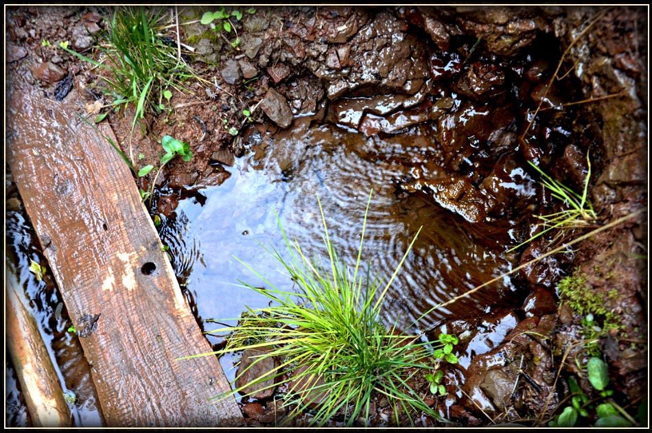 photo "***" tags: fragment, 
